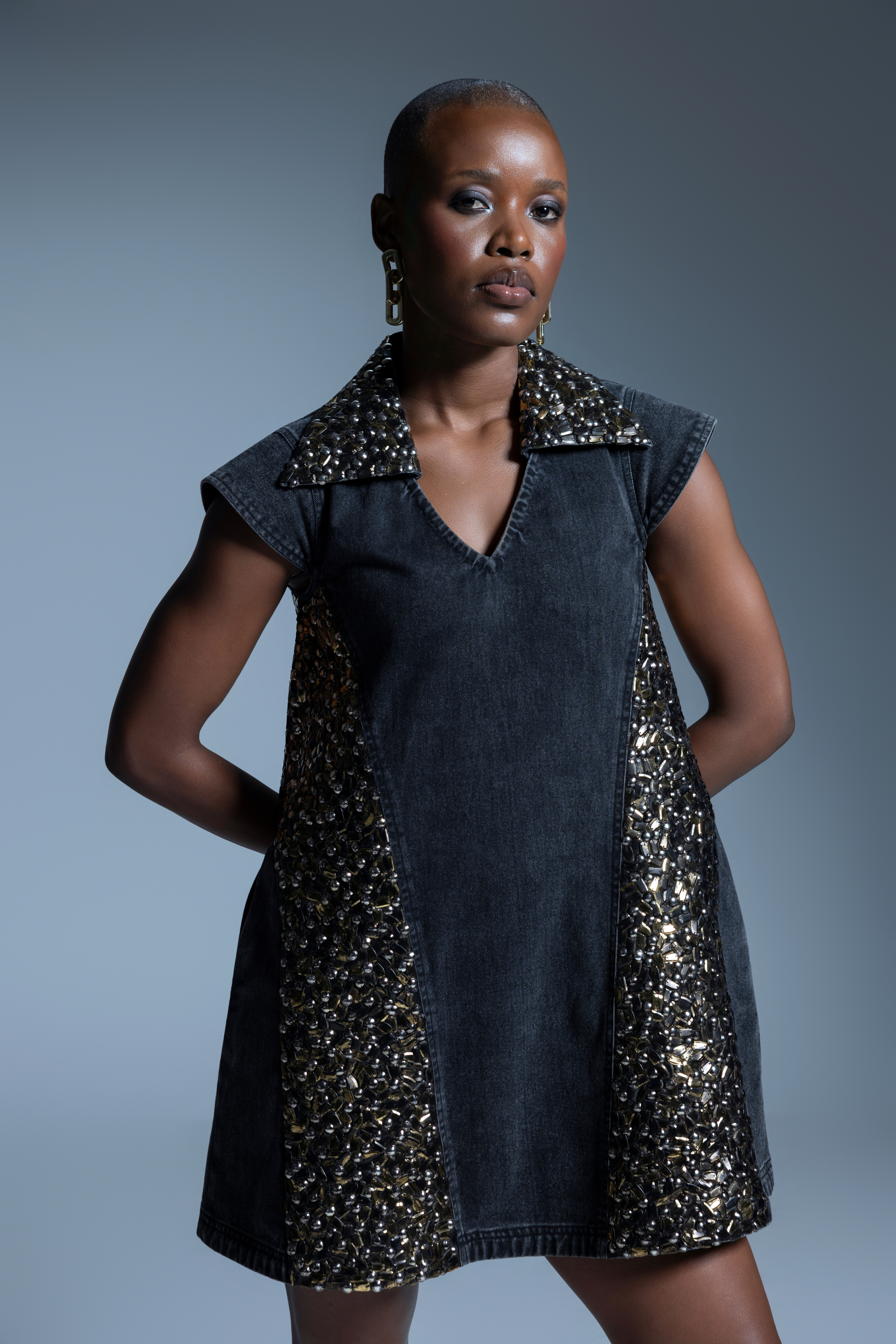 Meraki Embroidered Dress